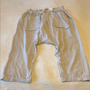 Free People Striped Sky Blue Striped Harem Bottoms